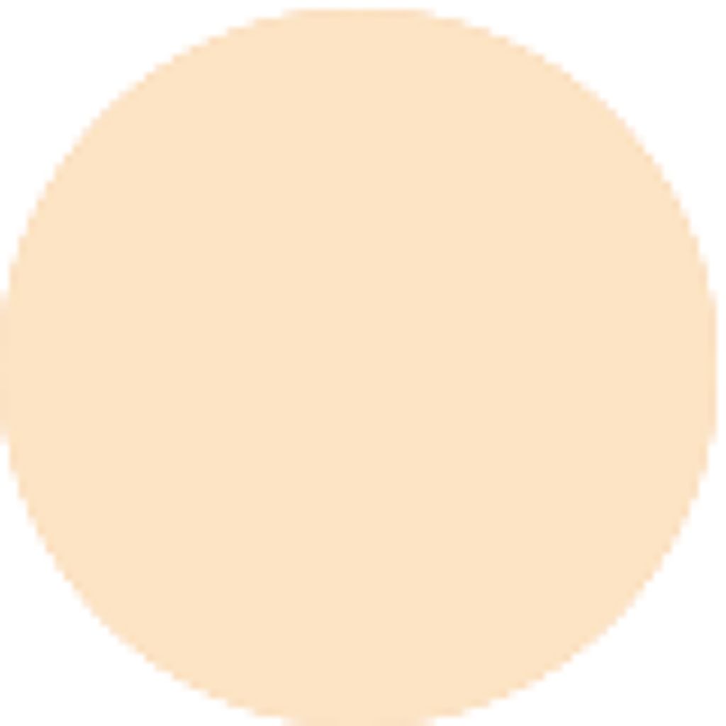 パウダーファンデーション N1