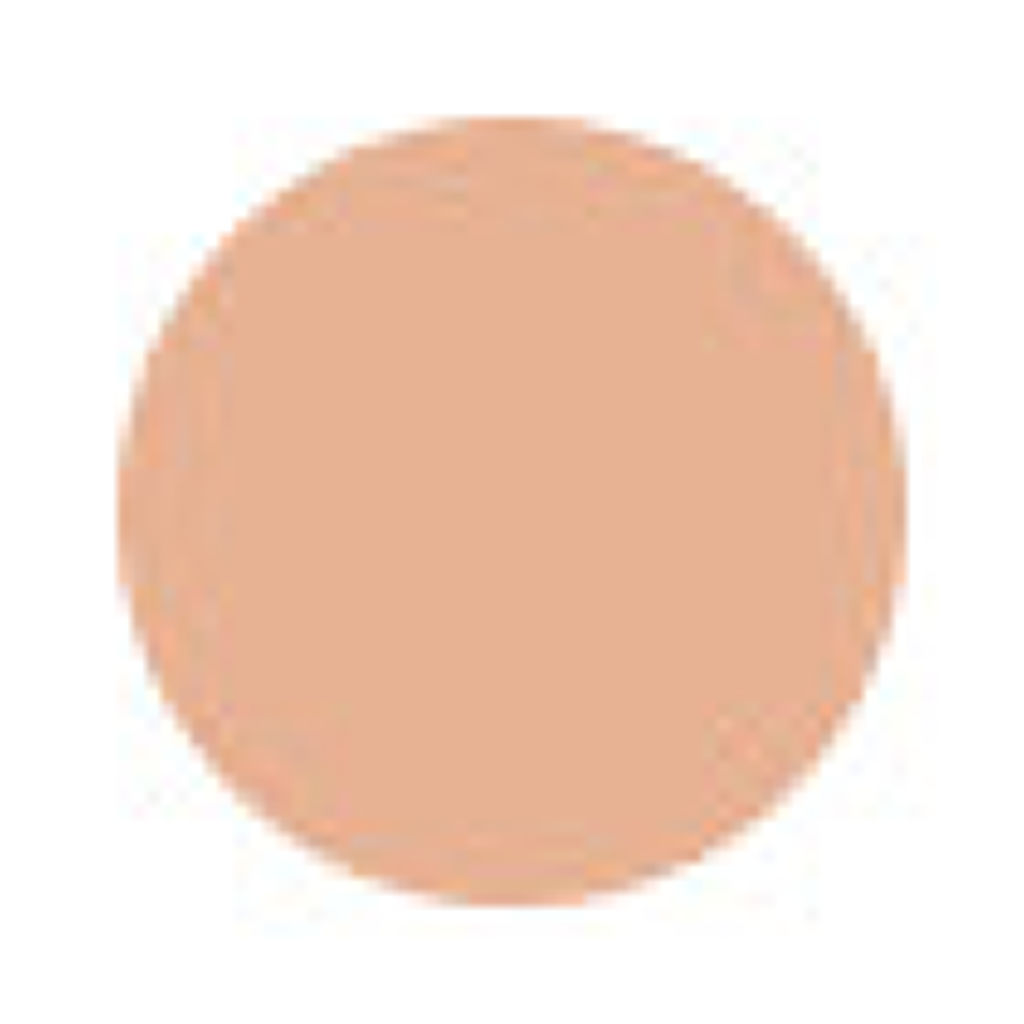 ペタルスキン クッション ファンデーション （レフィル） 364