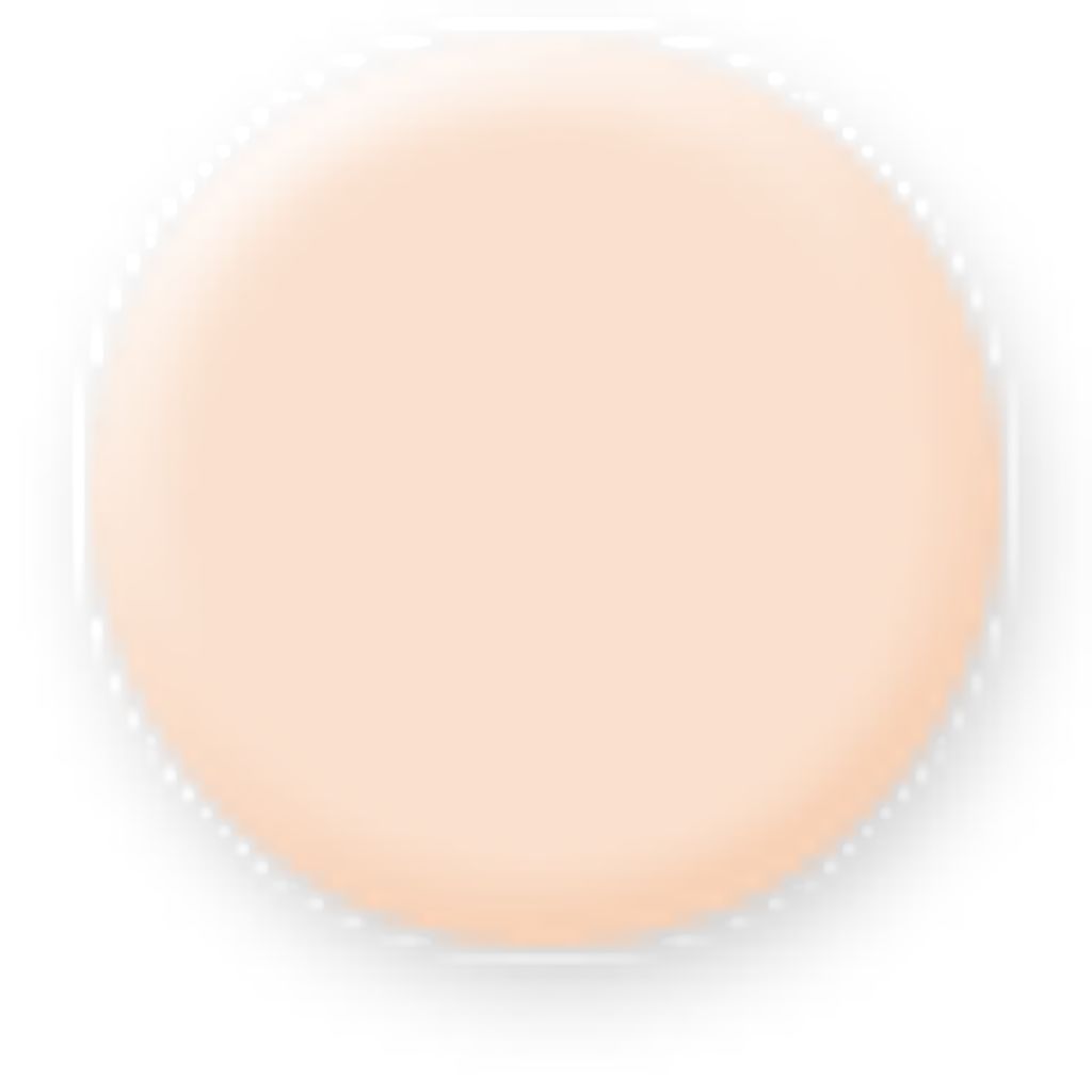 クリーミィファンデーション PV P10