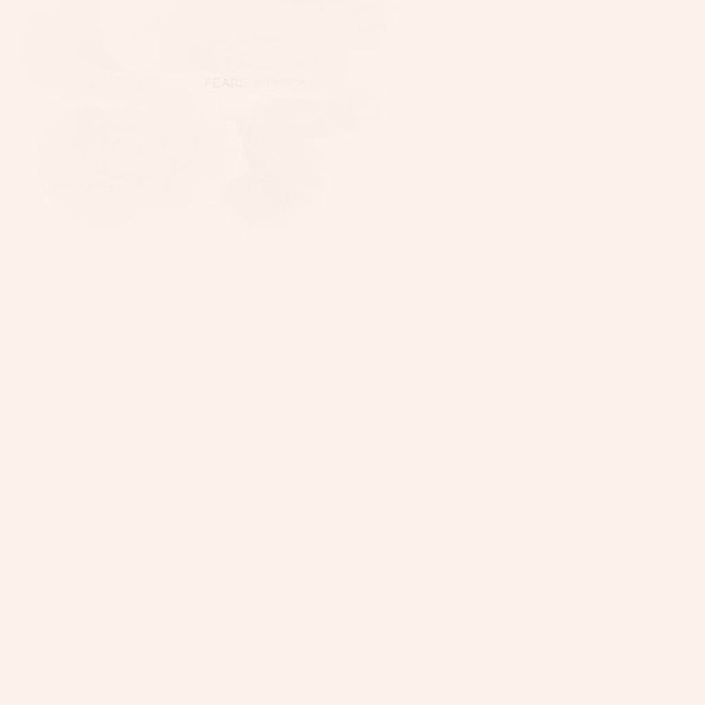 マジー デコ フェイスパウダー 11 PEARL NUANCE