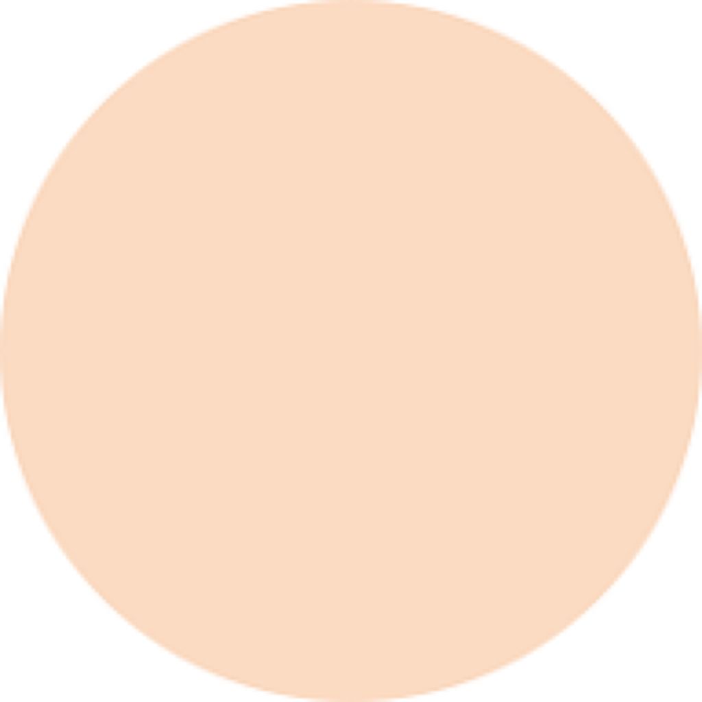 スキンモデリングパウダーファンデーション OC01