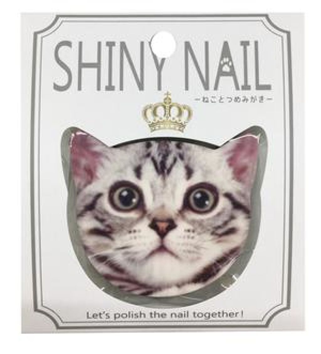 ねことつめみがき コテツ