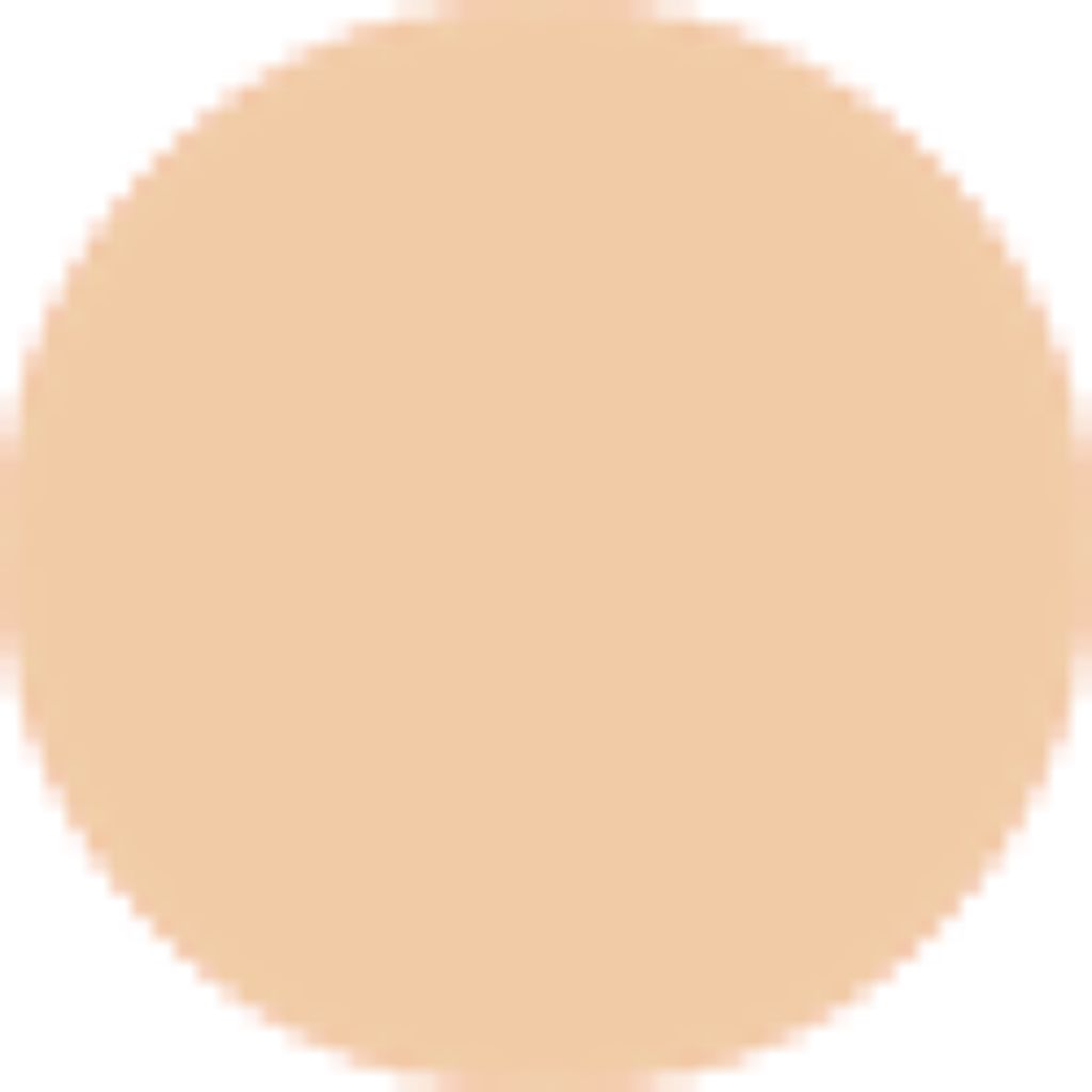 1.3 N22 ミディアムベージュ