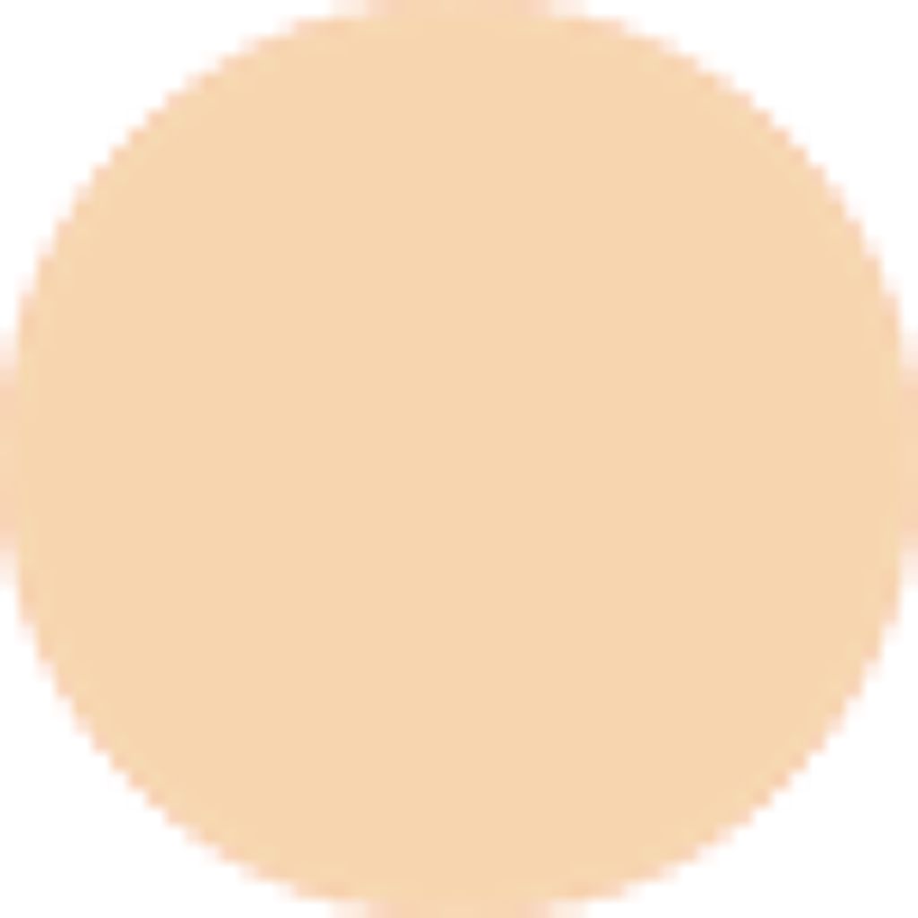 1.3 N21 ナチュラルベージュ