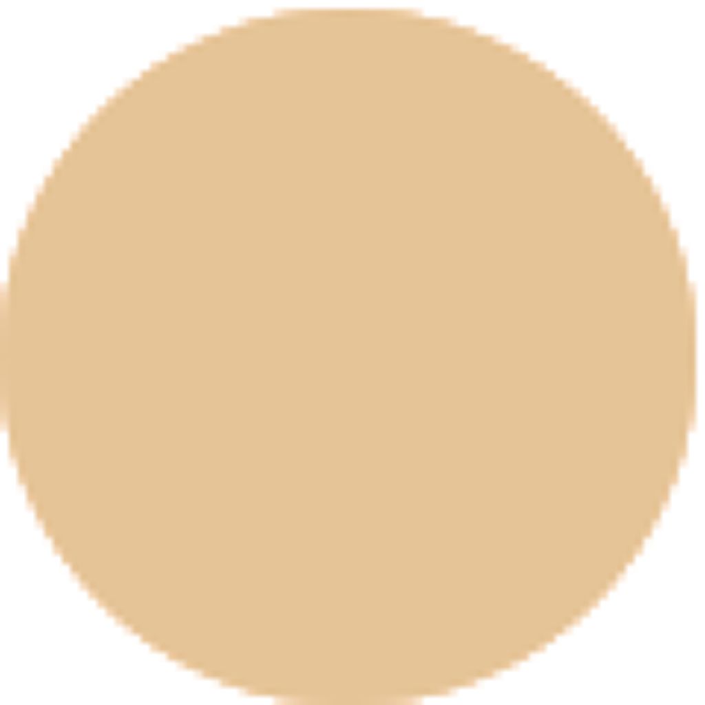 パウダーファンデーション N5