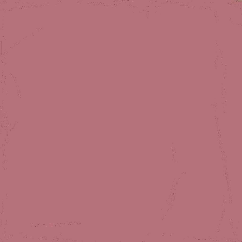 リップグロス N BR-1