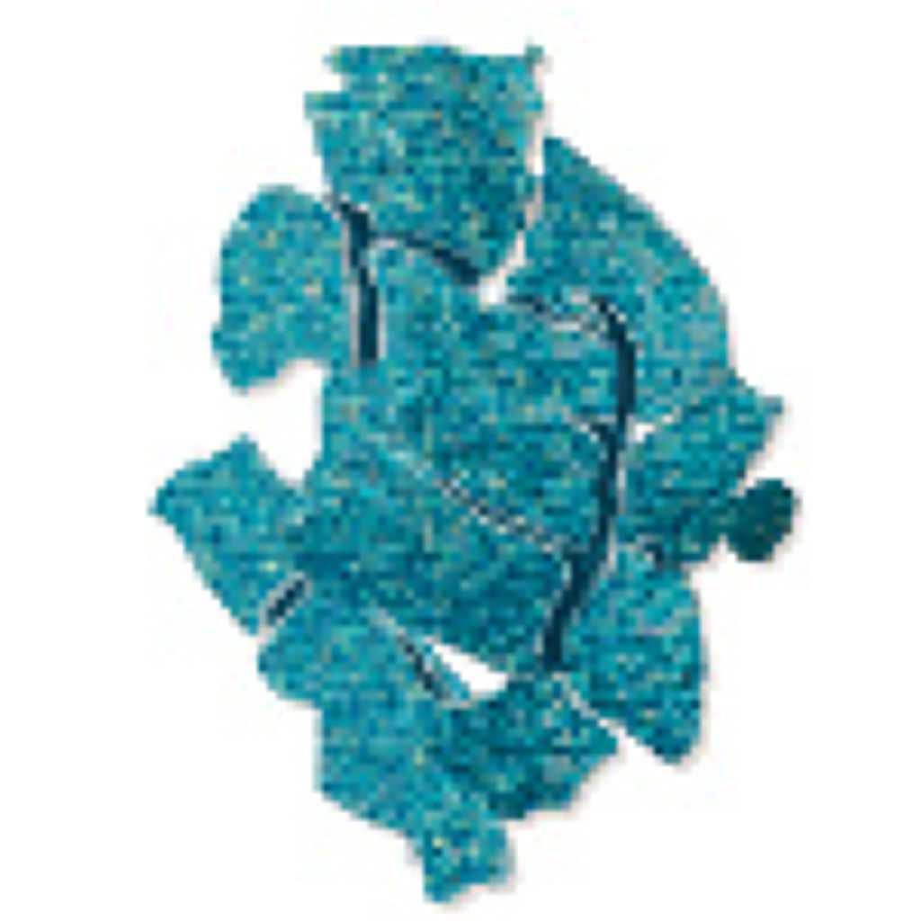 オンブル イプノ P205 ラゴン シークレット