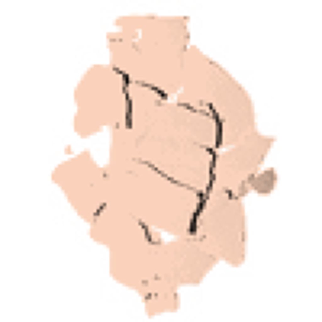 3 ナチュラル ローズ