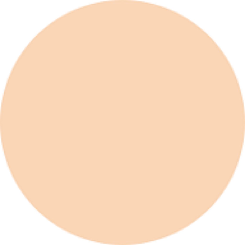 スキンモデリングパウダーファンデーション OC02