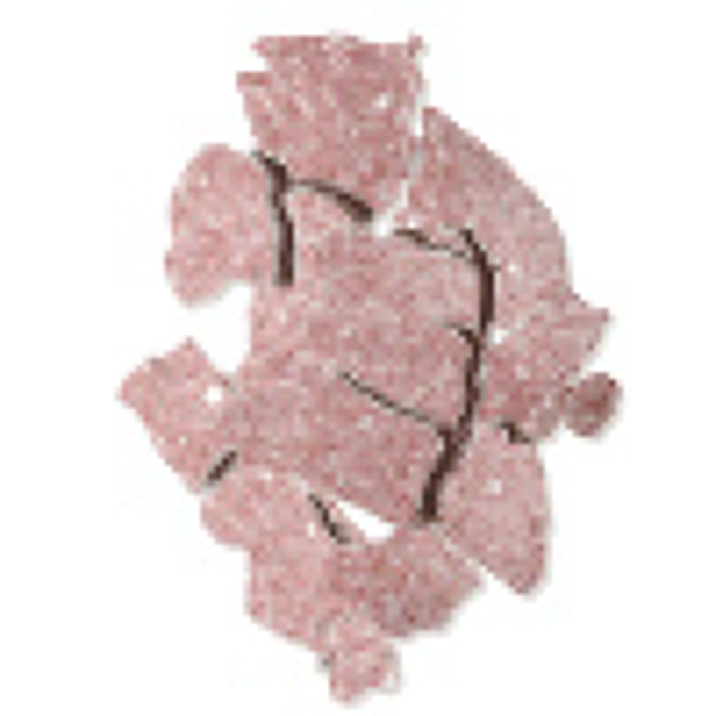 オンブル イプノ S103 ローズ エトワール