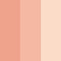 カラーリングチークスN 03 Soft Beige Red