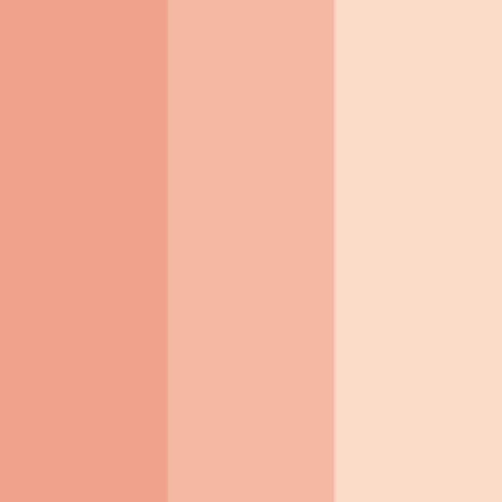 カラーリングチークスN 03 Soft Beige Red