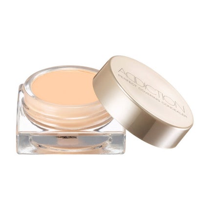 ADDICTION パーフェクト カバリング コンシーラー 002 Ivory アイボリー