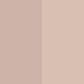 102.PALE NUDE