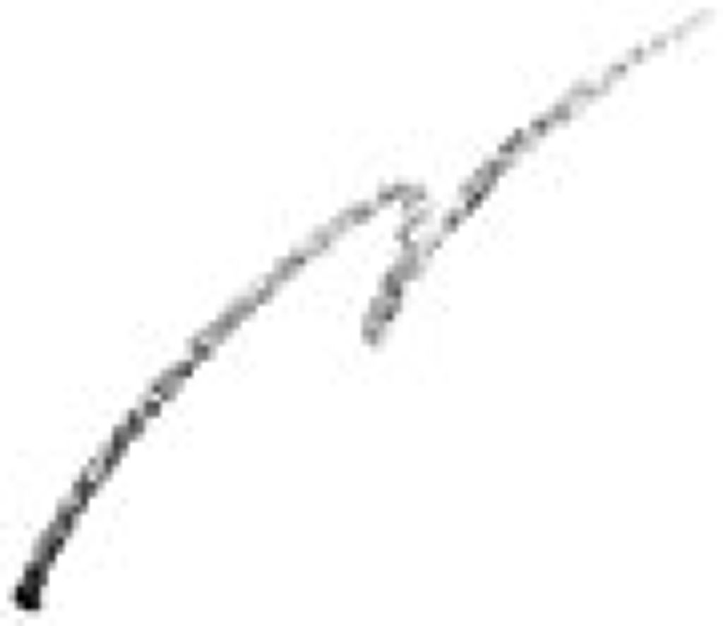 ウォータープルーフ アイブロウ ライナー 01 グレイ