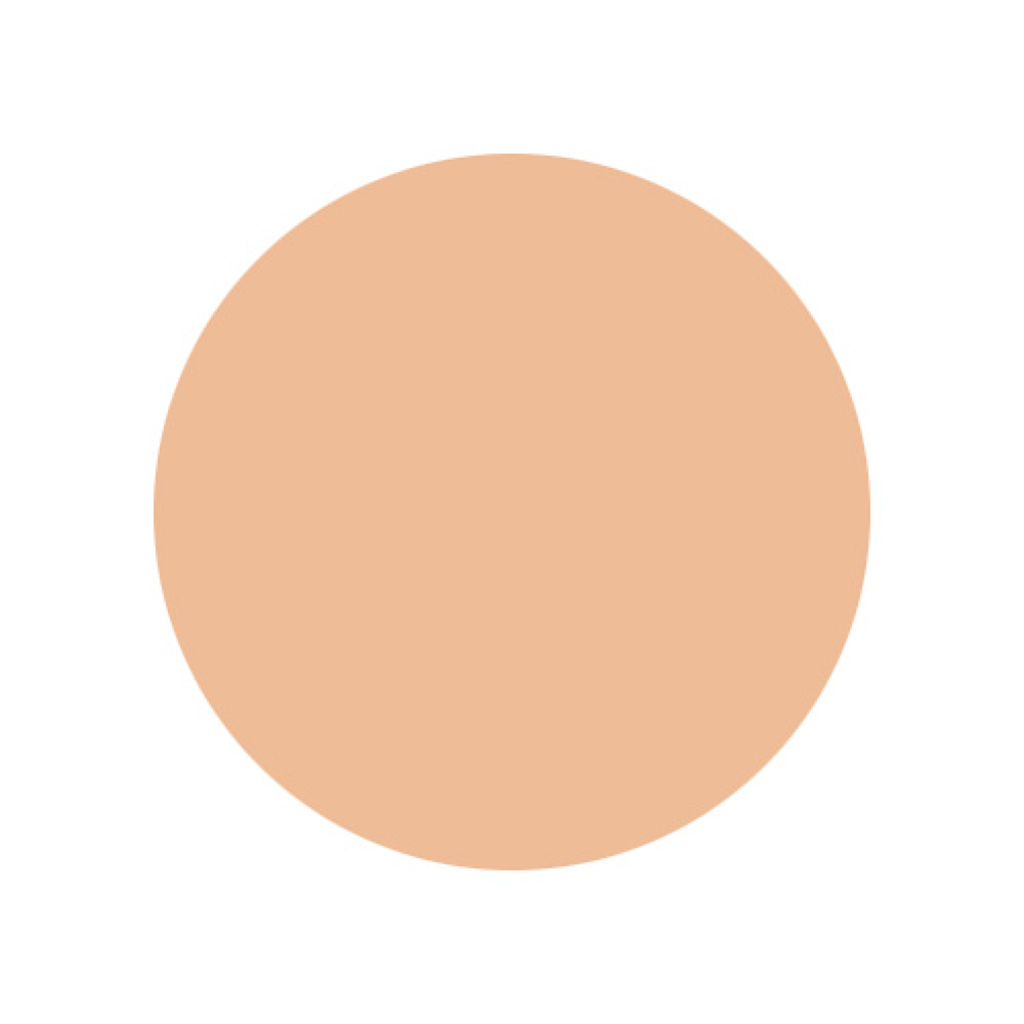 プレミアム エターナルモイストファンデーションセット 02ナチュラルオークル