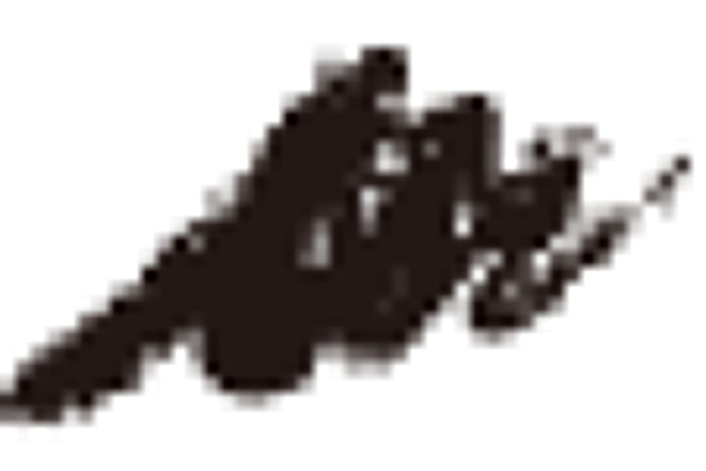 リキッドアイライナー BK001