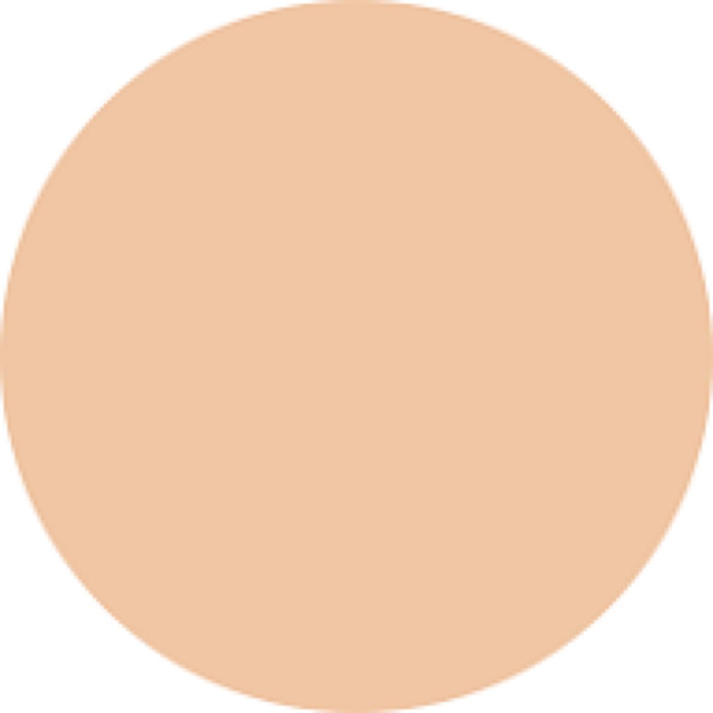 スキンモデリングパウダーファンデーション OC04