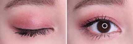 Illuminated cherry blossoms 夜桜