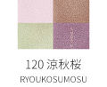 120 涼秋桜-RYOUKOSUMOSU