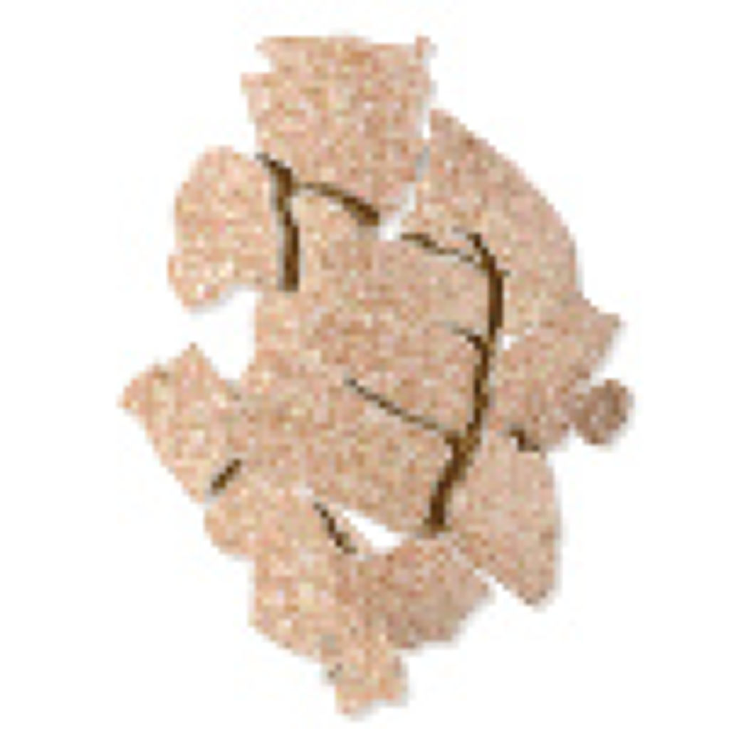 オンブル イプノ P102 サーブレ アンチャンテ