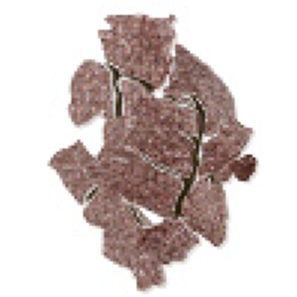 オンブル イプノ I204 キューバン ライト