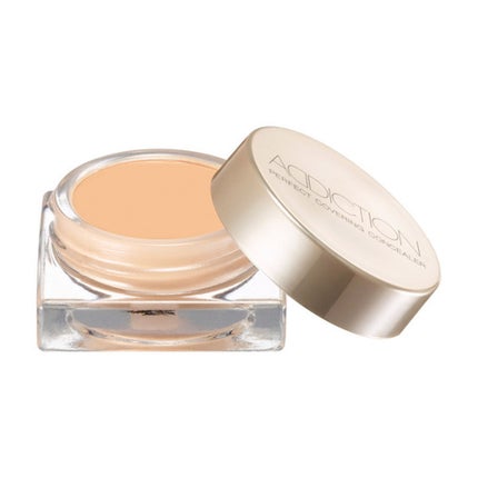ADDICTION パーフェクト カバリング コンシーラー 004 Rose Beige ローズ ベージュ