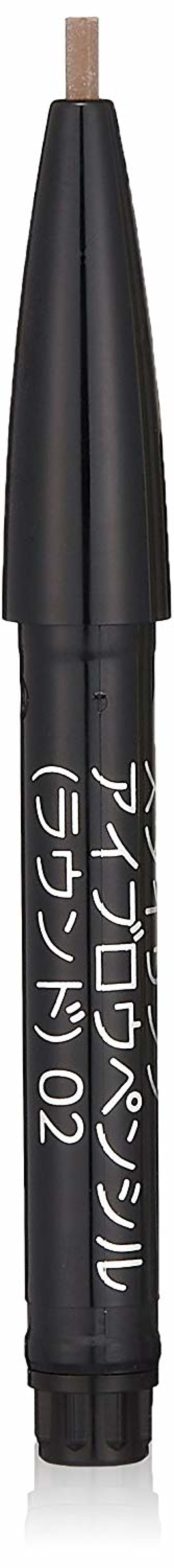 スタイリングアイブロウペンシル（ラウンド） 02 Brown