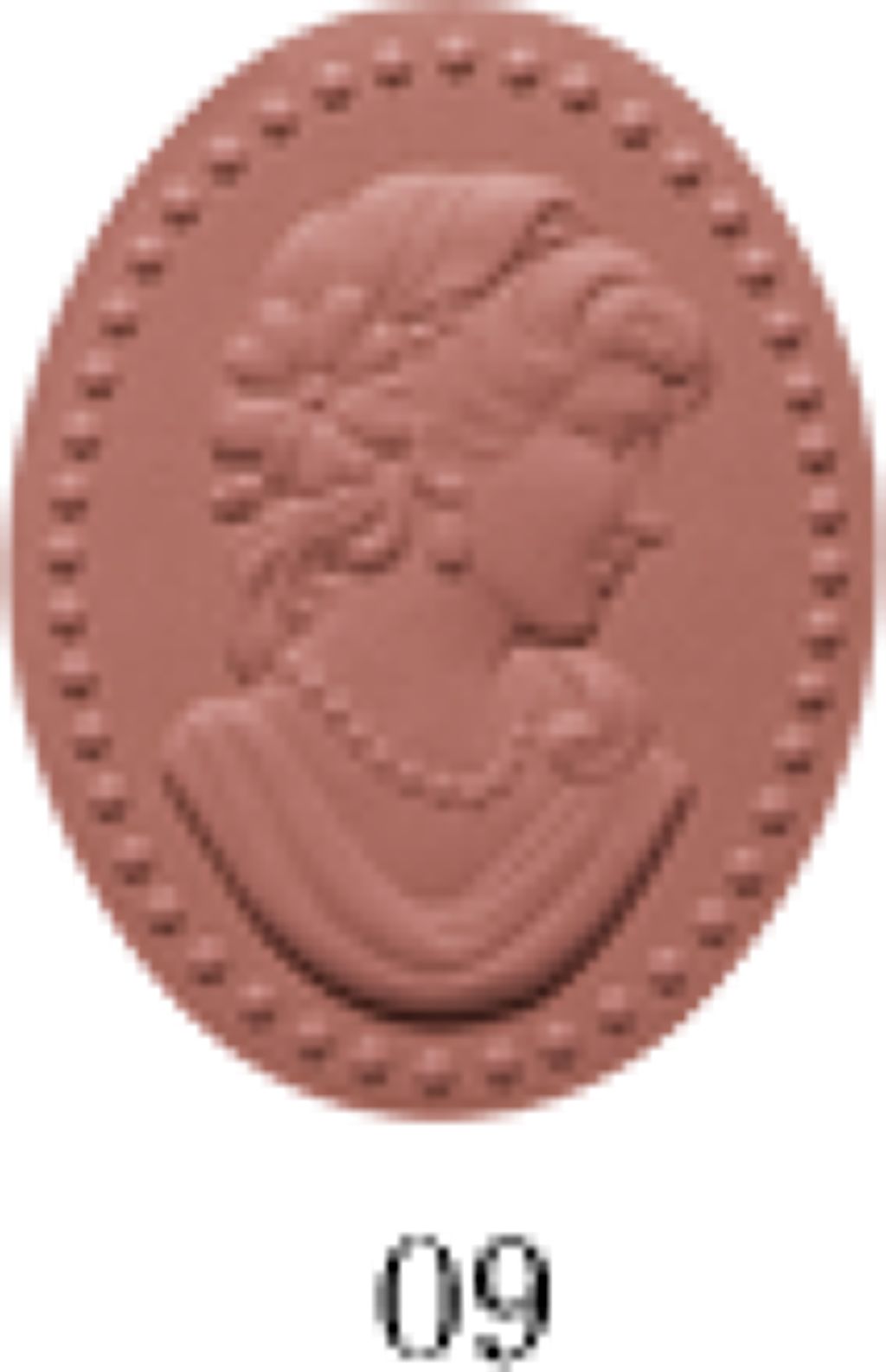 プレスト チークカラー 09 Puce ピュス(蚤の色)