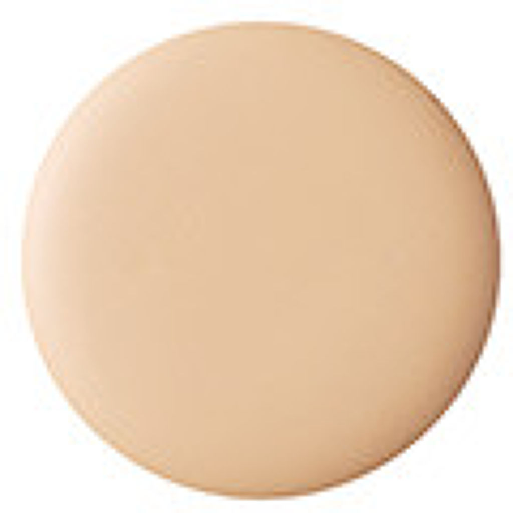 スティック コンシーラー N 01