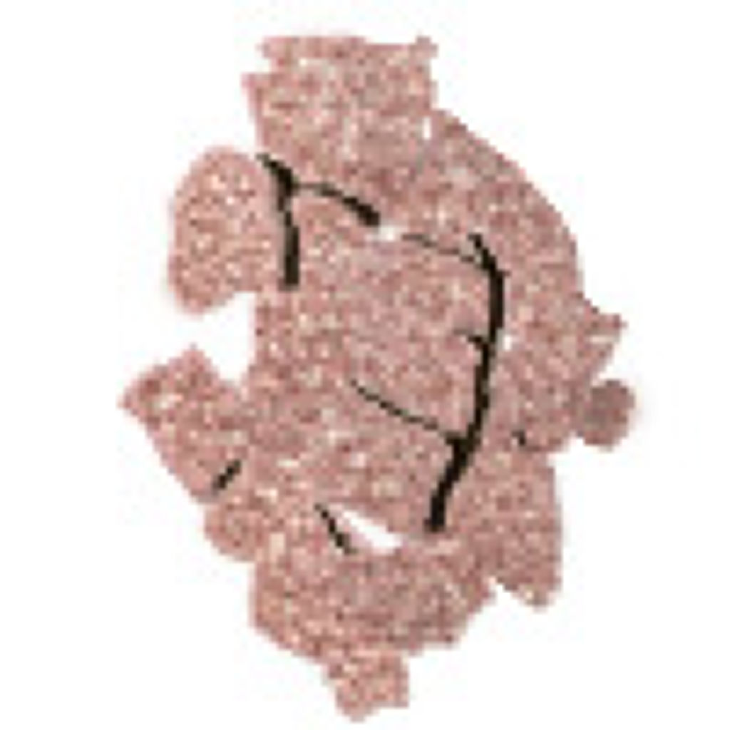 オンブル イプノ I108 ローズ エリカ