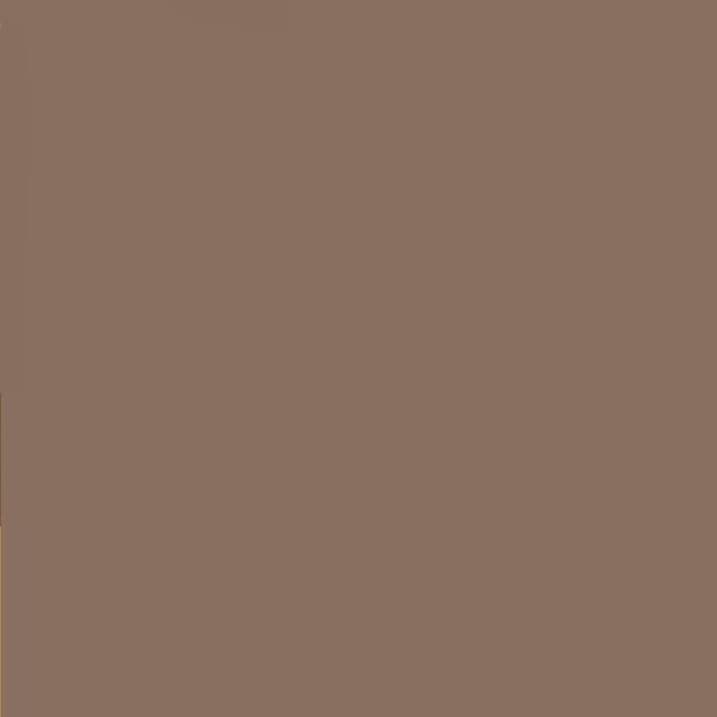 アイブロウペンシルN BR-3