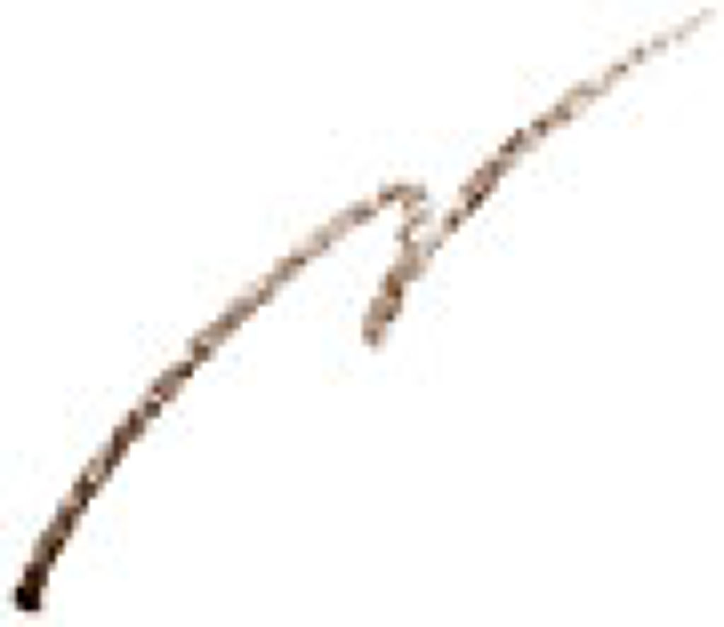 ウォータープルーフ アイブロウ ライナー 02 ブラウン