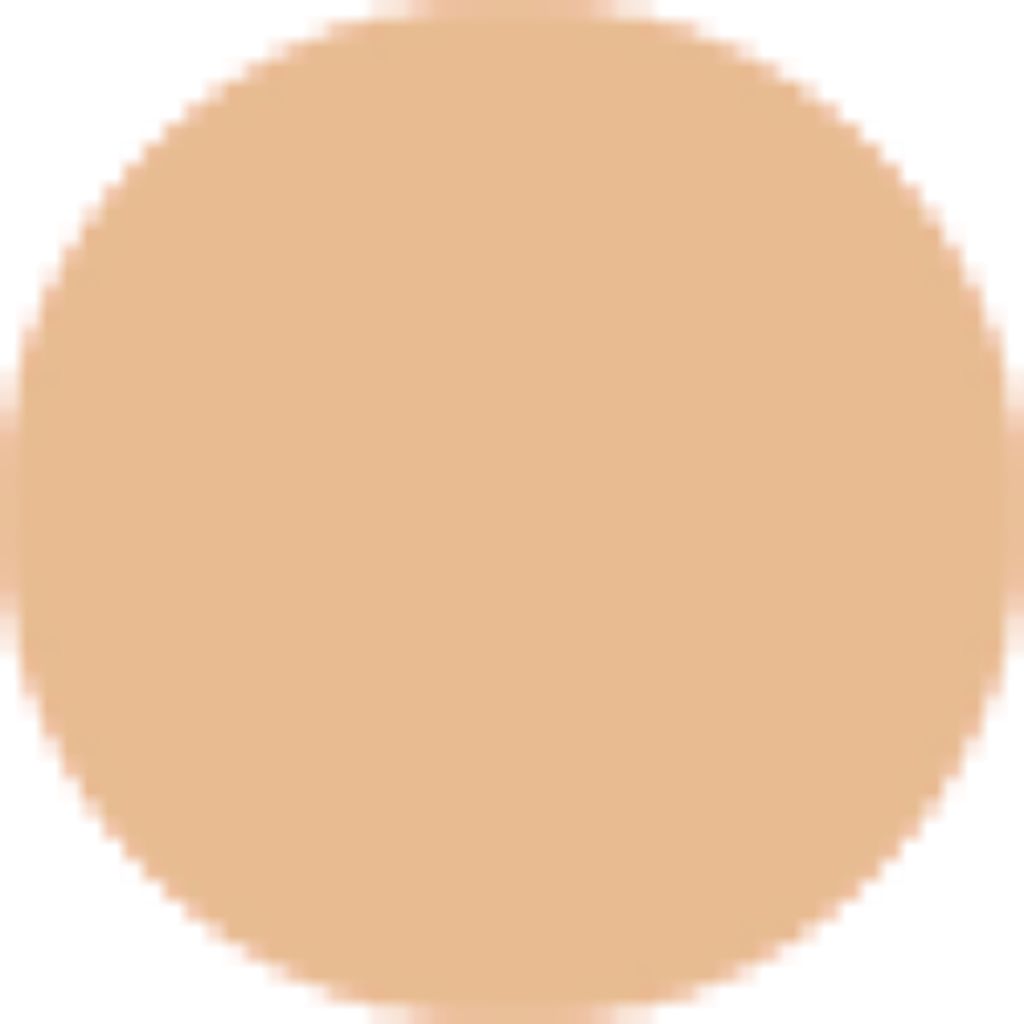 マイトゥーゴークッション 2.2 N23 トゥルーベージュ