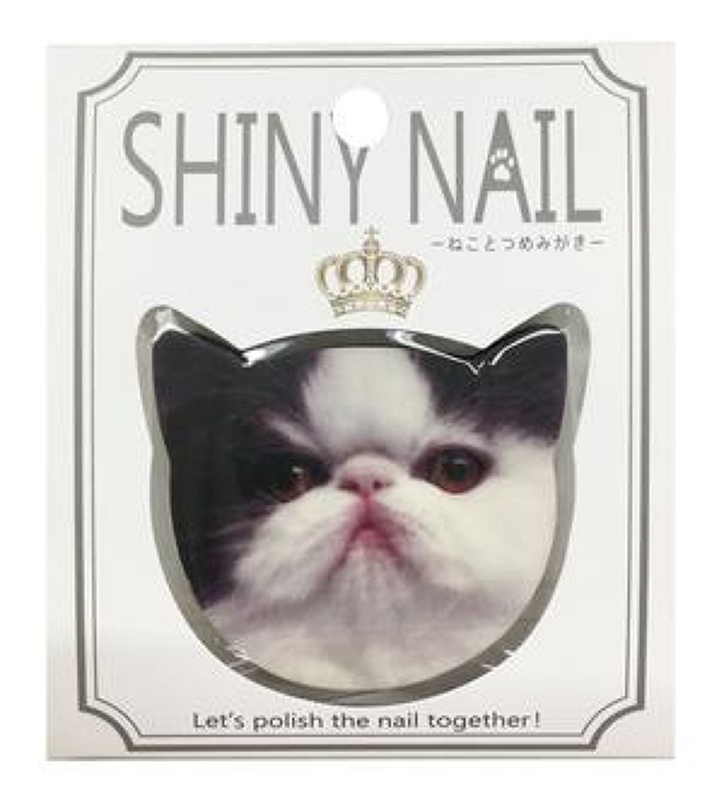 ねことつめみがき ふく