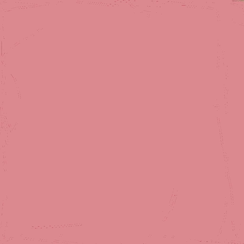 リップグロス N PK-3