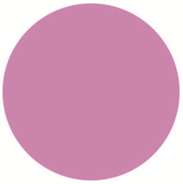 カラーリングクレヨン EX01 Lilac