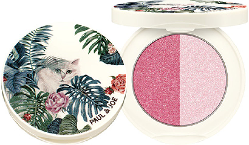 アイカラー L 05