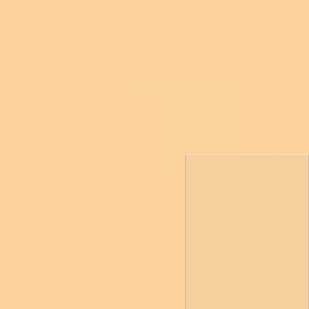 カラーステイ ツーインワン コンパクト メイクアップ + コンシーラー 10 パフ