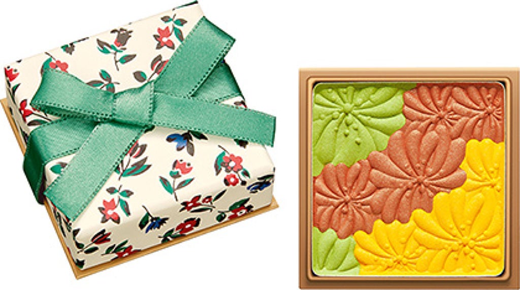 アイカラーCS 02