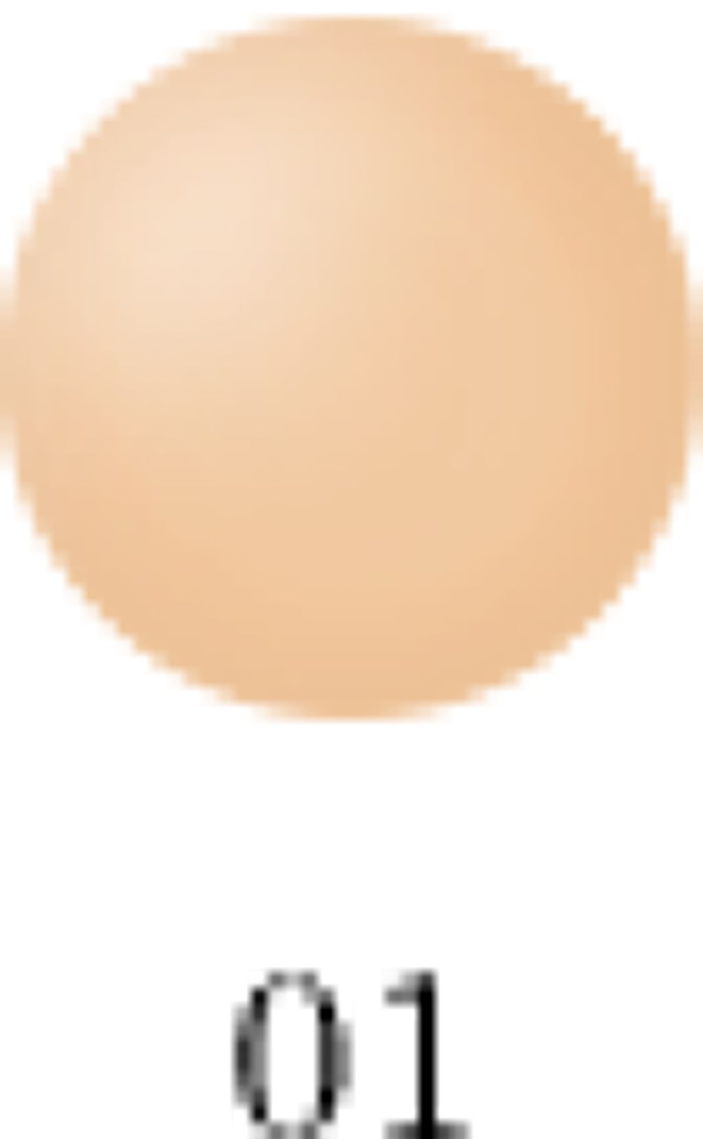 タッチアップ ファンデーション 01