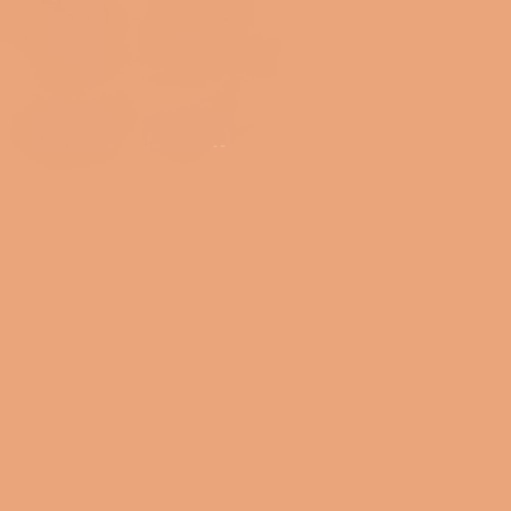 マジー デコ フェイスパウダー 30 NATURAL BEIGE