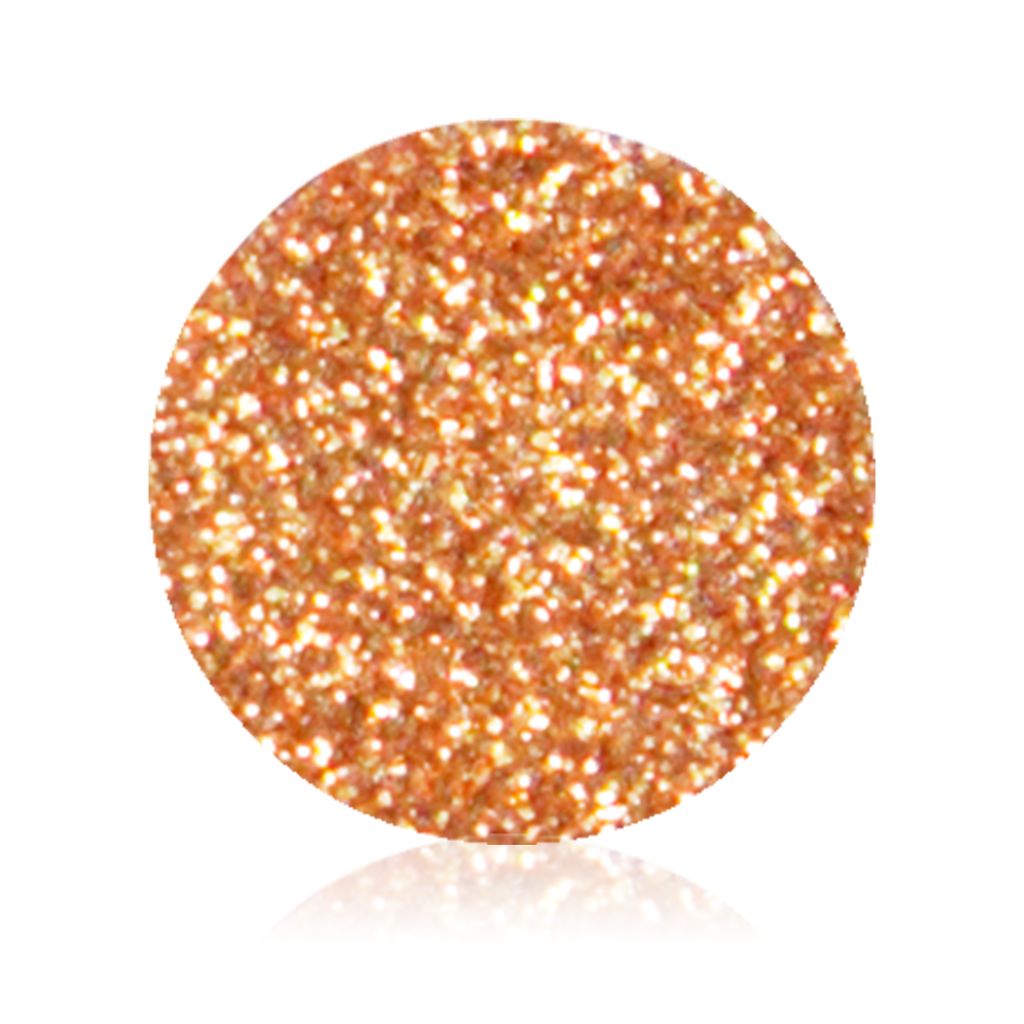 カラーパウダー 501