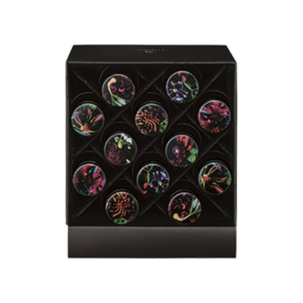 B.A リキッド B.A