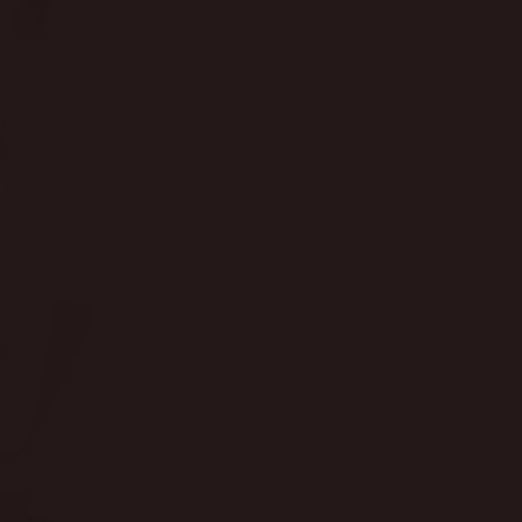 アイブロウペンシルN BK