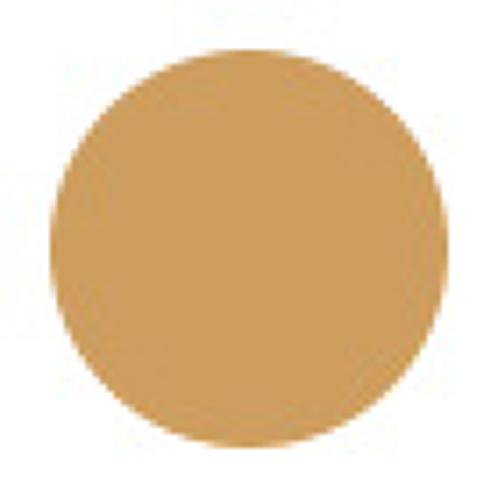 ザ・ライトバルブ エッセンシャル オイル イン ファンデーション 754