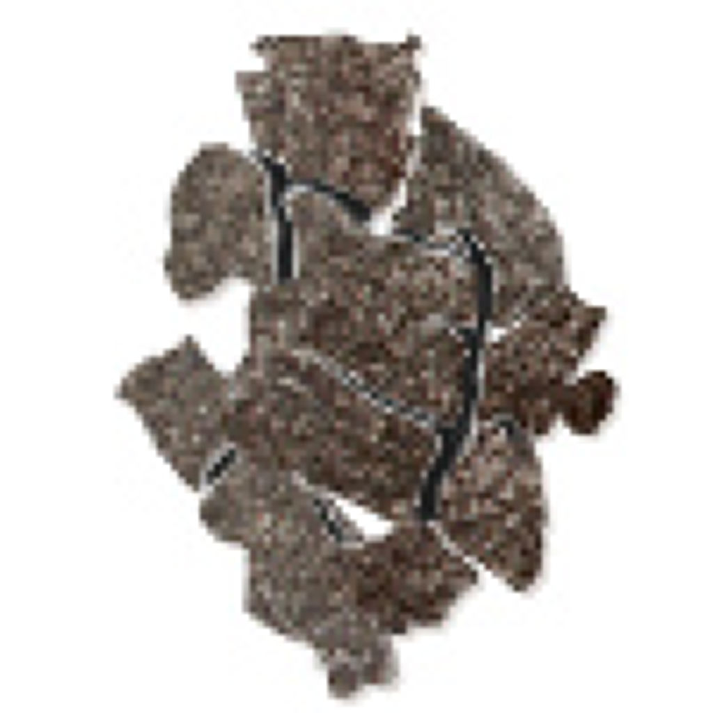 I202 エリカ エッフェ