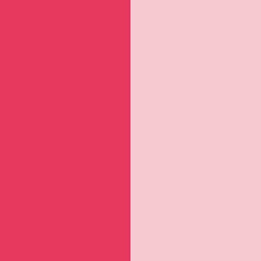 ダブルカラーリングリップス 02 Pink Red