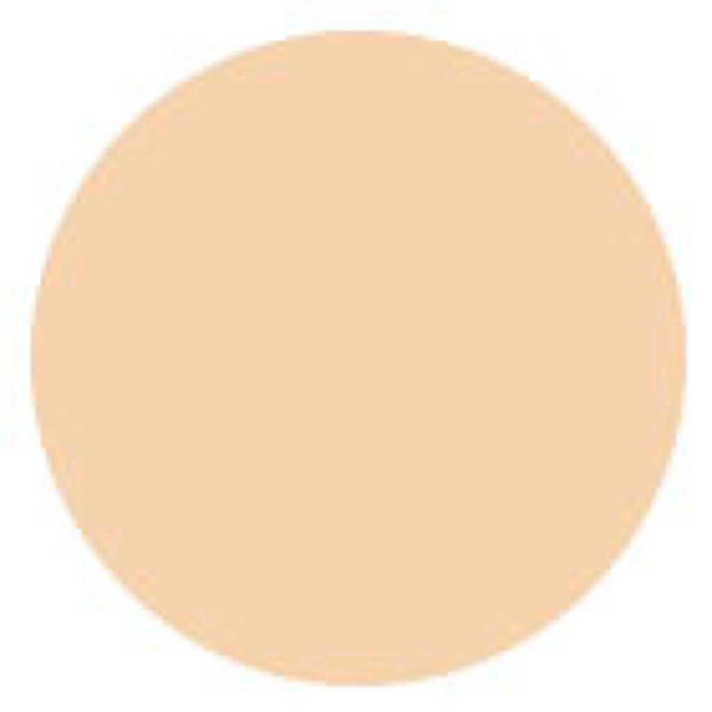 01 トランスヌード