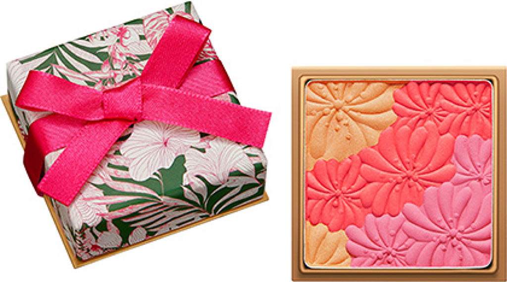 アイカラーCS 01